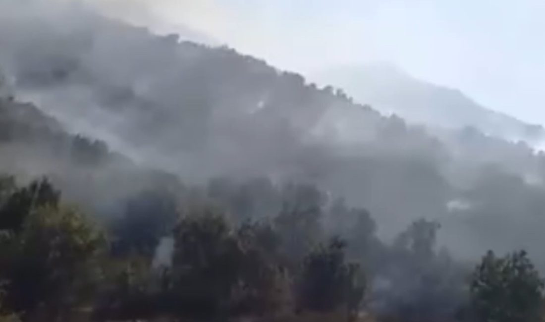 Dağlıca köyünde yasaklı alanda çıkan orman yangını 2 gündür sürerken,