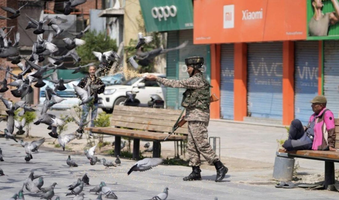 Ülkenin batısındaki Mumbai kentinde toplumsal alanlarda güvercin beslemek yasaklandı. Yasağın