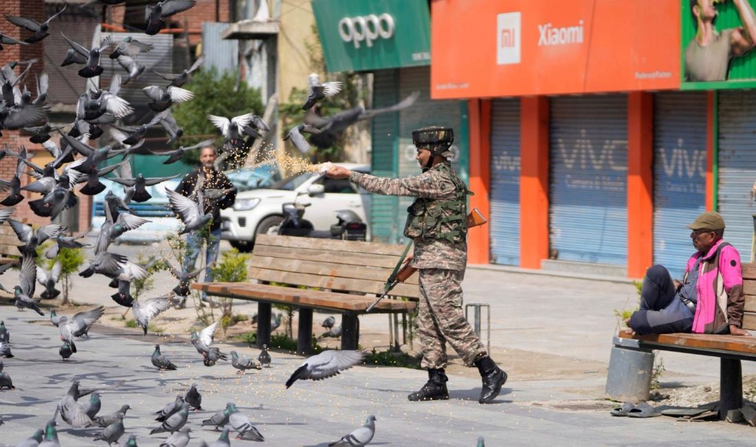 Hindistan’ın batısındaki Mumbai kentinde toplumsal alanlarda güvercin beslemek yasaklandı.