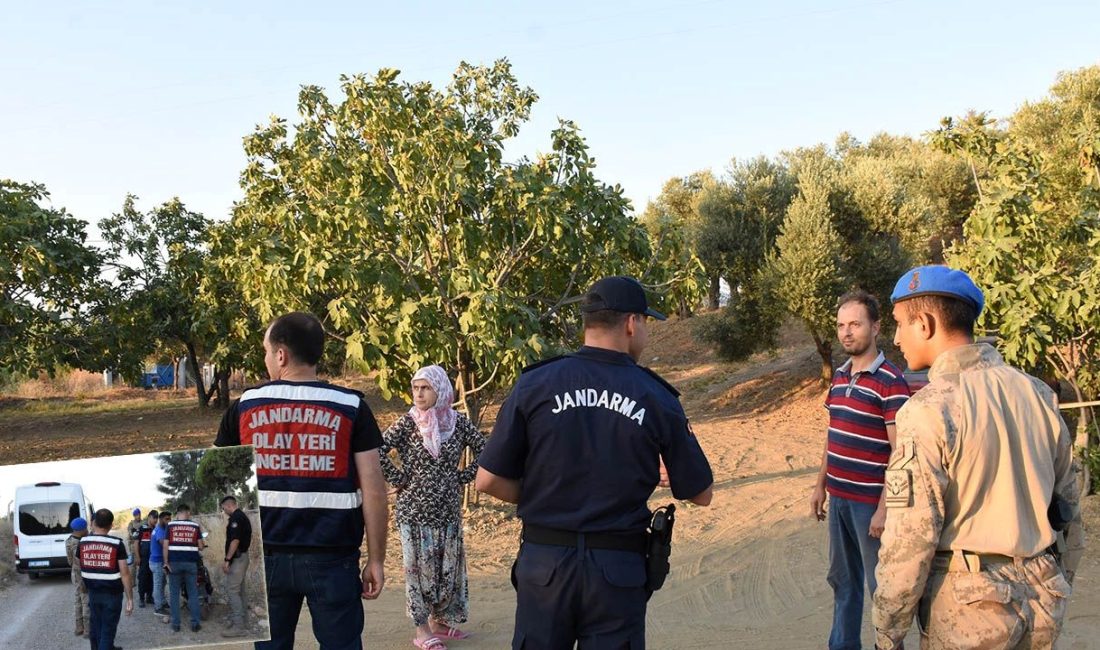 Hasat mevsimi geldi, Aydın'da jandarma grupları incir ve zeytin bahçelerindeki