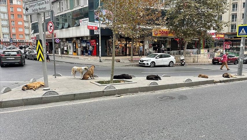İstanbul Valiliği, İstanbul Büyükşehir Belediyesi ile 39 ilçeye bir yazı