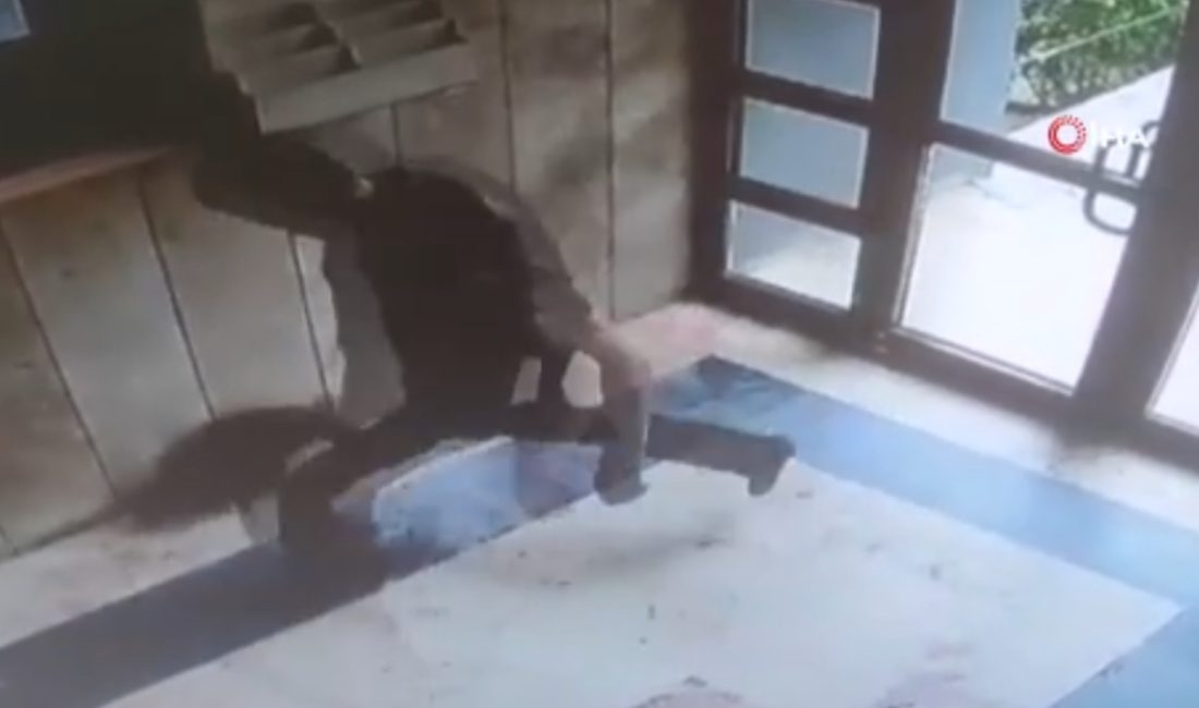 Başakşehir'de kuyruğundan tuttuğu kediyi yere atıp tekmeleyen şahıs, polis gruplarınca