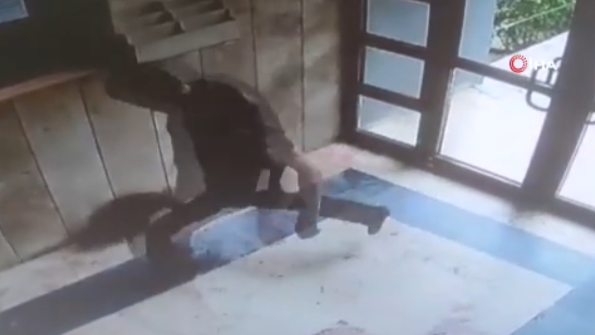 Başakşehir'de kuyruğundan tuttuğu kediyi yere atıp tekmeleyen şahıs, polis gruplarınca