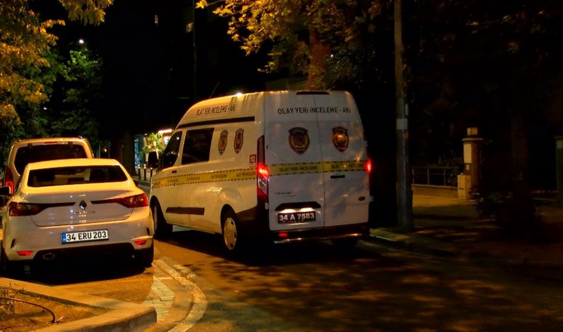 Bakırköy'de iki kişi ortasında çıkan tartışmayı ayırmak isteyen bayan, silahla