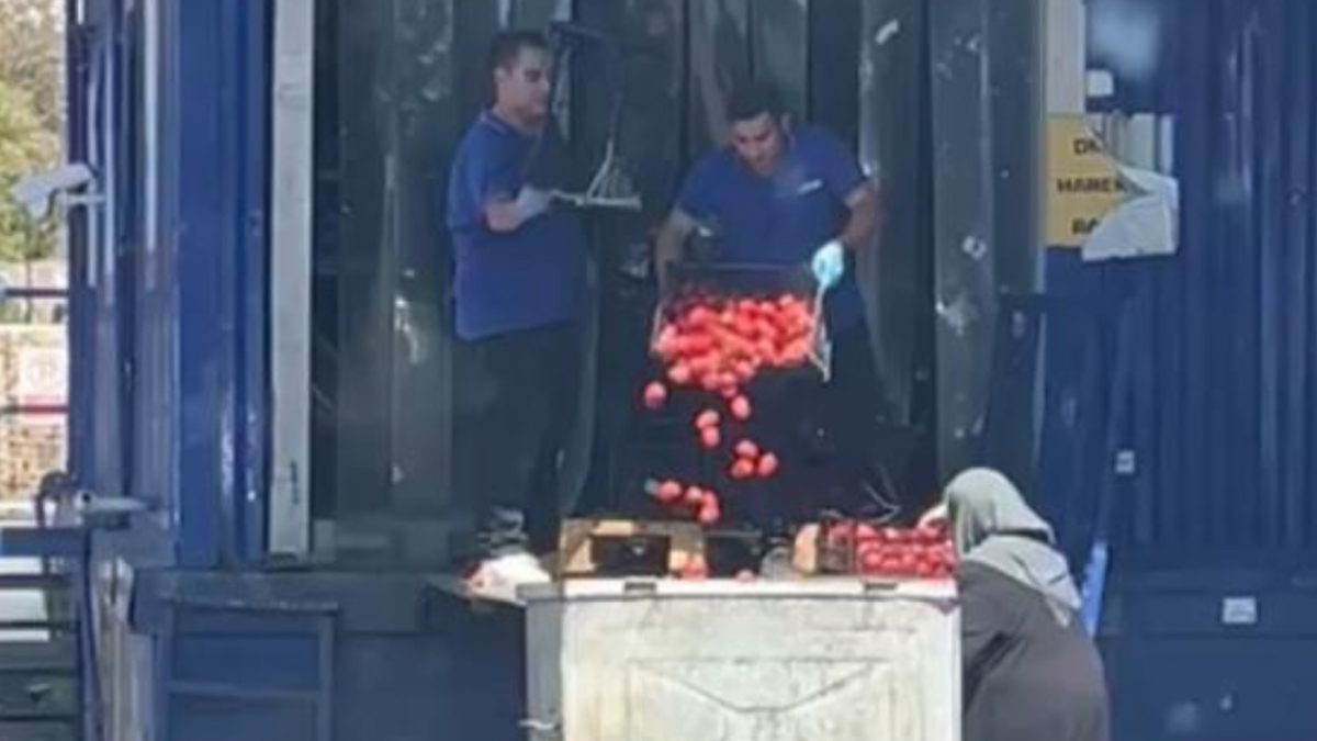 Ataşehir'deki bir zincir markette çalışanların kasa kasa domatesleri çöpe dökerken