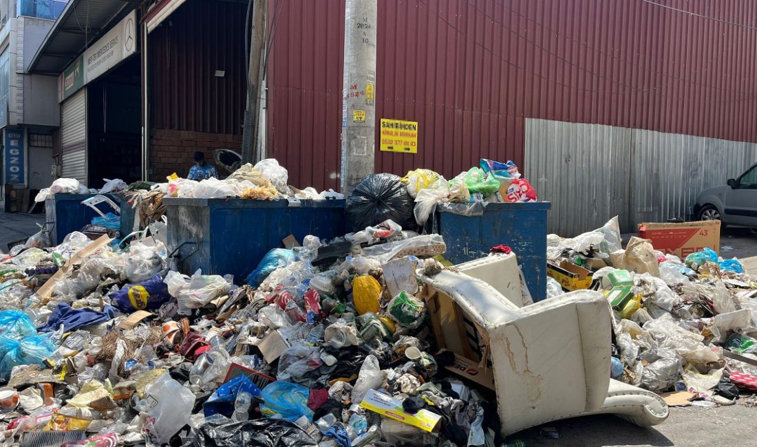 Karşıyaka ve Buca ilçelerinde toplanmayan çöpler cadde ve sokaklarda yığınlar
