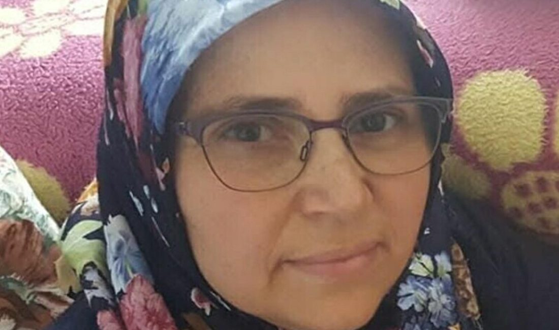 Menderes ilçesinde, sokak köpeklerinin saldırısından kaçmak isterken araba çarpan 55