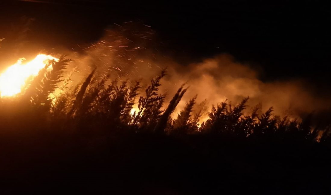 Kadıovacık Mahallesi’nde çıkan orman yangınına gece boyunca karadan, sabahın birinci