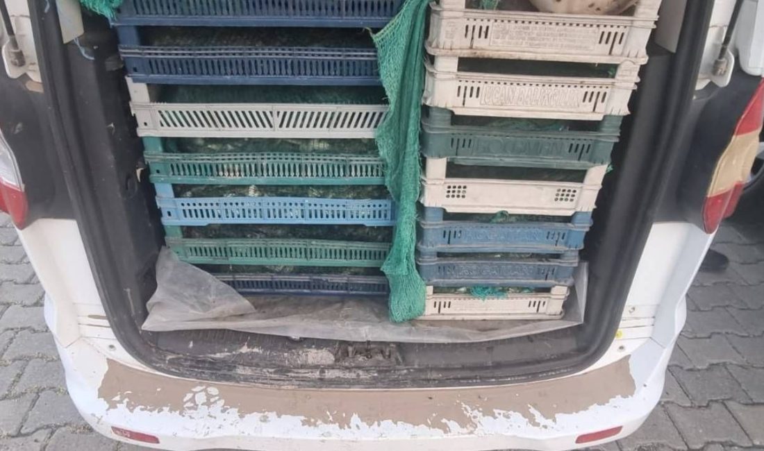 Ağrı'da jandarma takımlarının ihbar üzerine düzenlediği operasyonda, kaçak yollarla avlanan