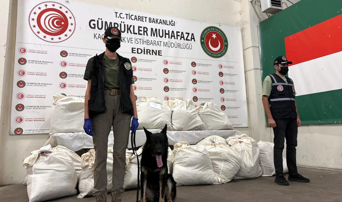 Edirne'den Bulgaristan'a açılan Kapıkule Hudut Kapısı'nda 3 TIR'da yapılan aramada