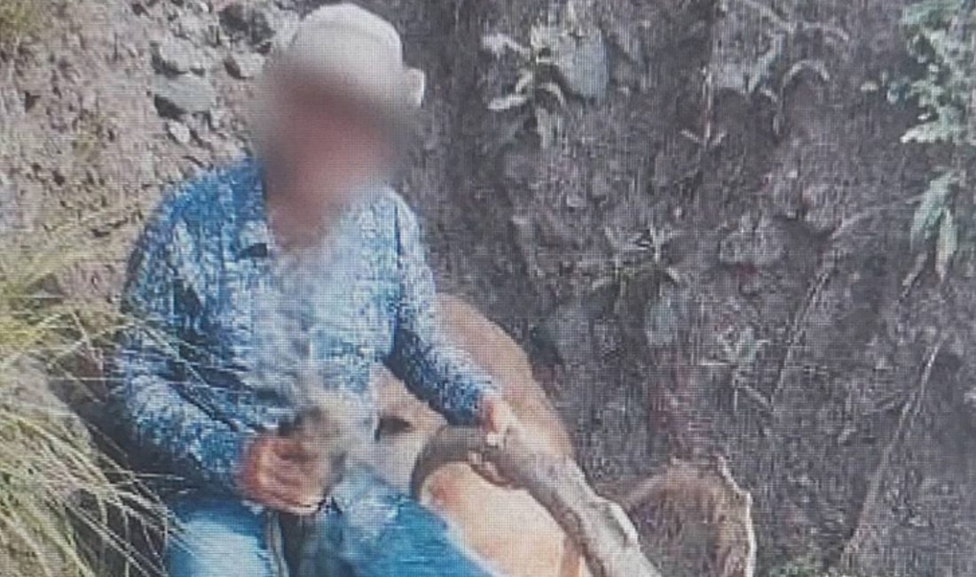 Kars'ta müdafaa altındaki yaban keçisini avladığı tespit edilen bireye 658