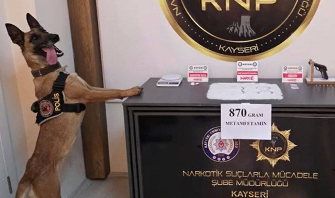 Kayseri’de polis takımları tarafından 3 vilayette eş vakitli düzenlenen operasyonda;