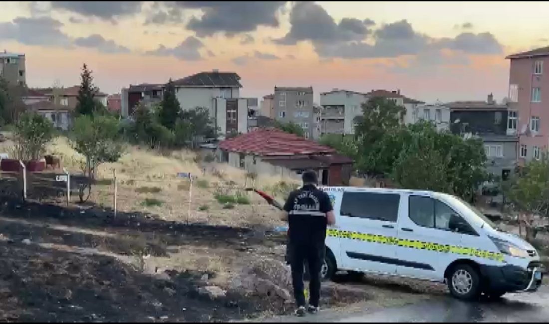İstanbul Maltepe’de otluk alanda çıkan yangın, itfaiye gruplarınca söndürüldü. Yangına