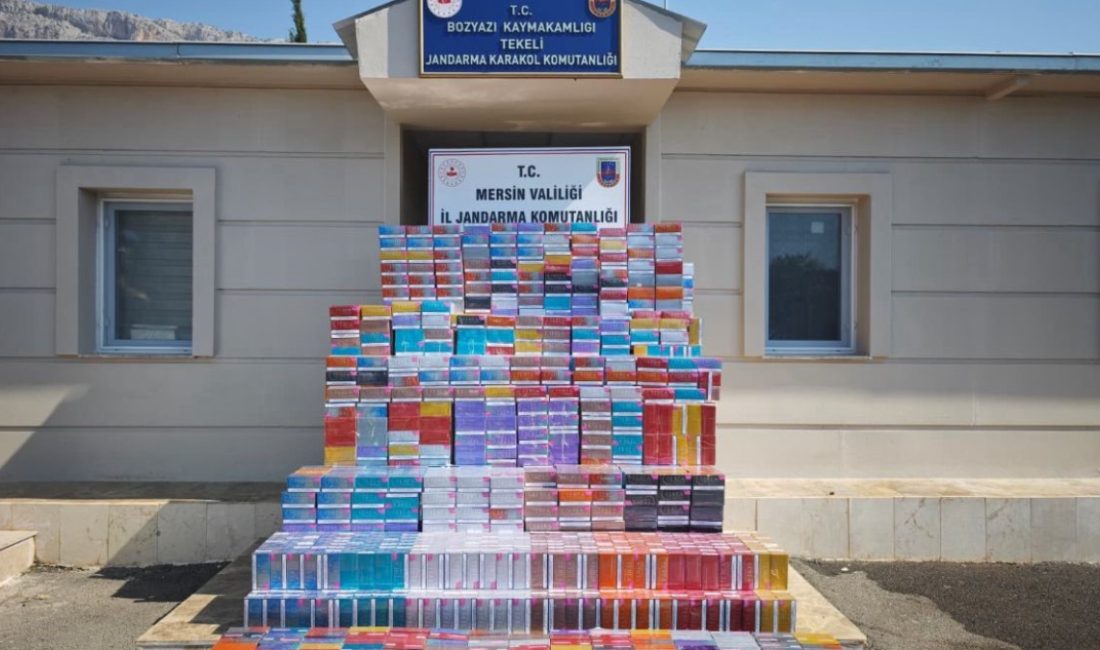 Bozyazı ilçesinde gerçekleştirilen operasyonda piyasa kıymeti yaklaşık 7,5 milyon TL