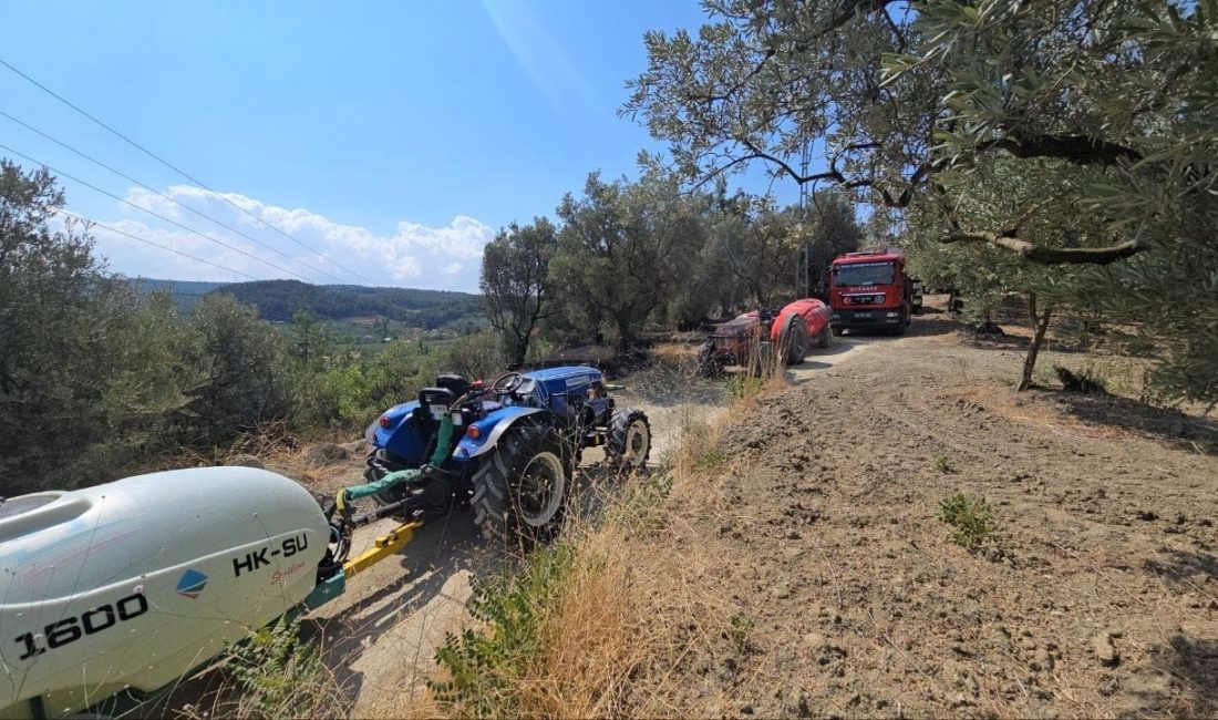 Bursa'nın Mudanya ilçesinde elektrik direğinden çıkan yangın ormanlık alana sıçradı.