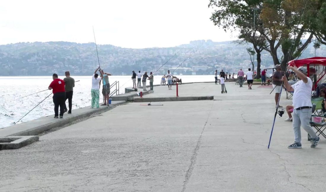 İstanbul'da birkaç gündür tesirli olan poyrazla bir arada rahat nefes