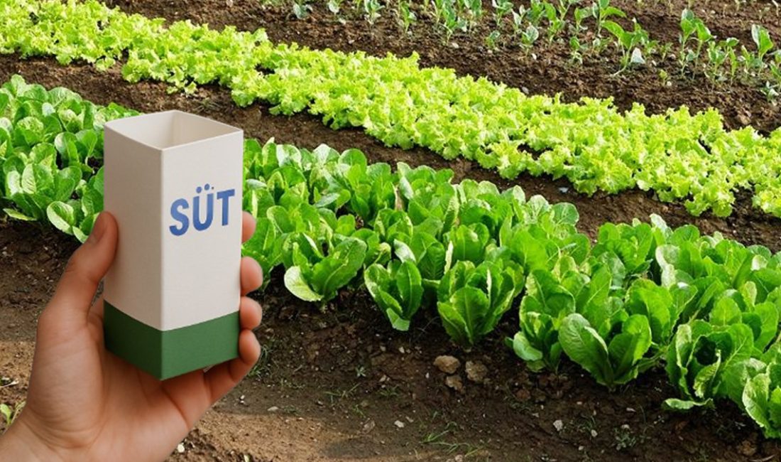 Bu denli vakittir herkesin çöpe attığı süt kutuları halbuki gece