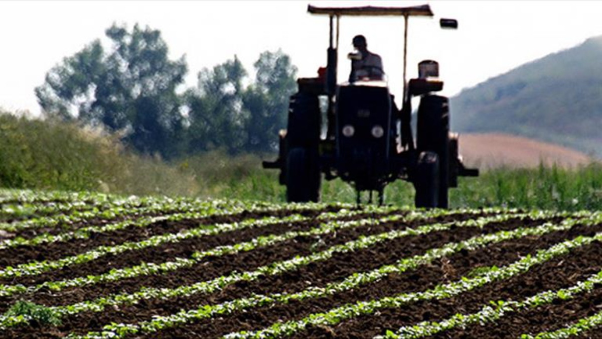 TÜİK'in açıkladığı ziraî girdi fiyat endeksi haziranda yıllık yüzde 33,88,