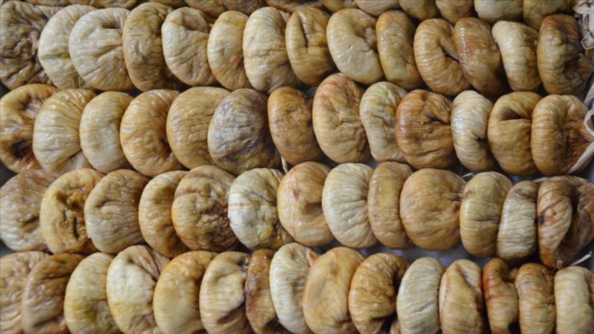 Tariş'te A1 kalite incirin kilogram fiyatı 300 lira, yemeklik incirin