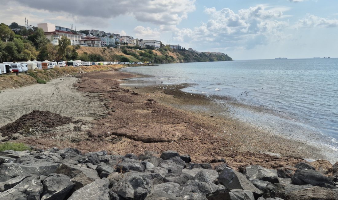 Marmara Denizi'nde, poyraz fırtınasının tesirini kaybetmesinin akabinde Süleymanpaşa ilçesine ağır