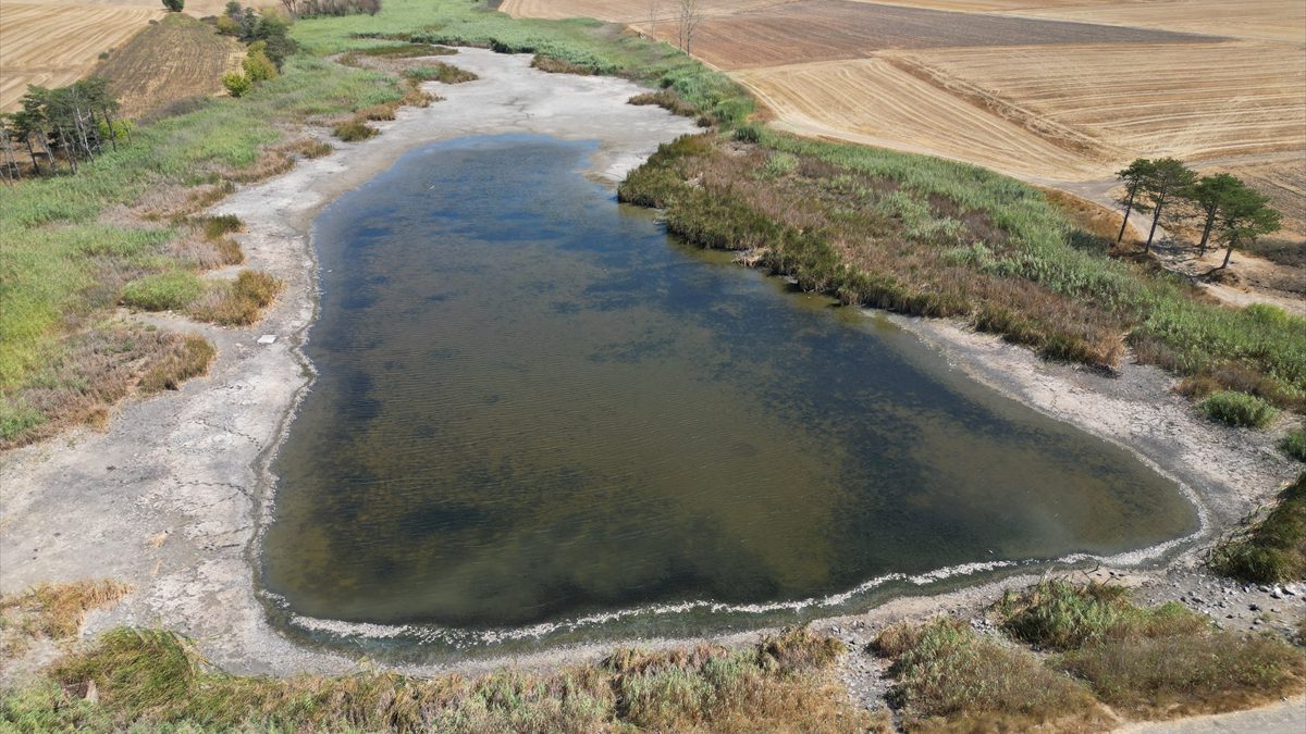 Tekirdağ'ın Muratlı ilçesindeki Kırkkepenekli Göleti'nde, su düzeyinin düşmesine bağlı oksijen