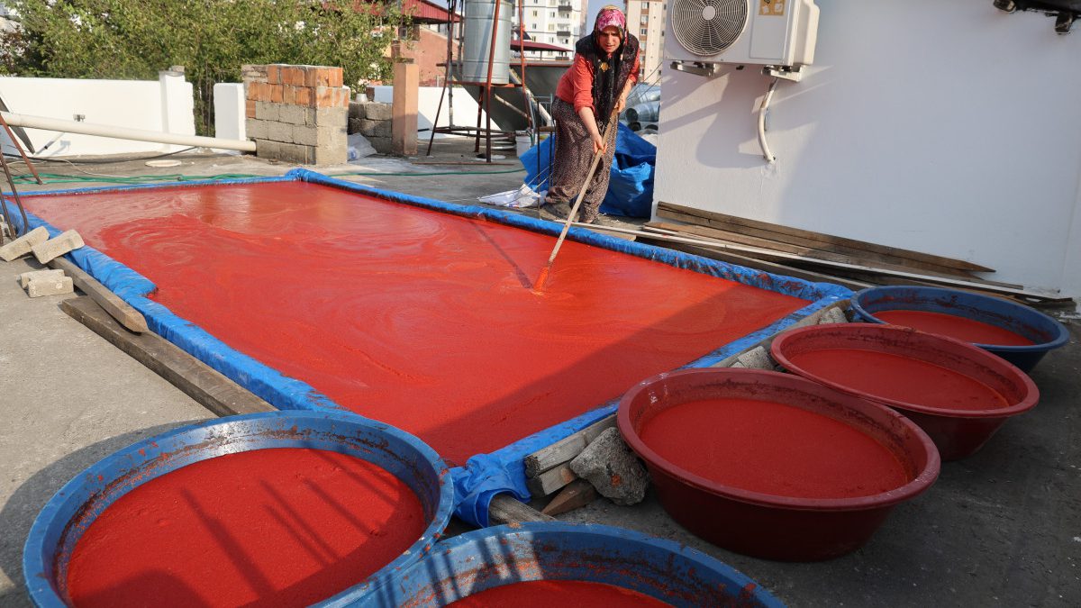 Adana'nın birçok bölgesinde olduğu gibi Kozan ilçesinde de salça mesaisi