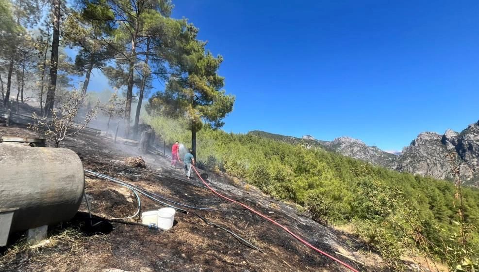 Adana'nın Feke ilçesinde ormanlık alanda yangın çıktı. Alevlere havadan ve