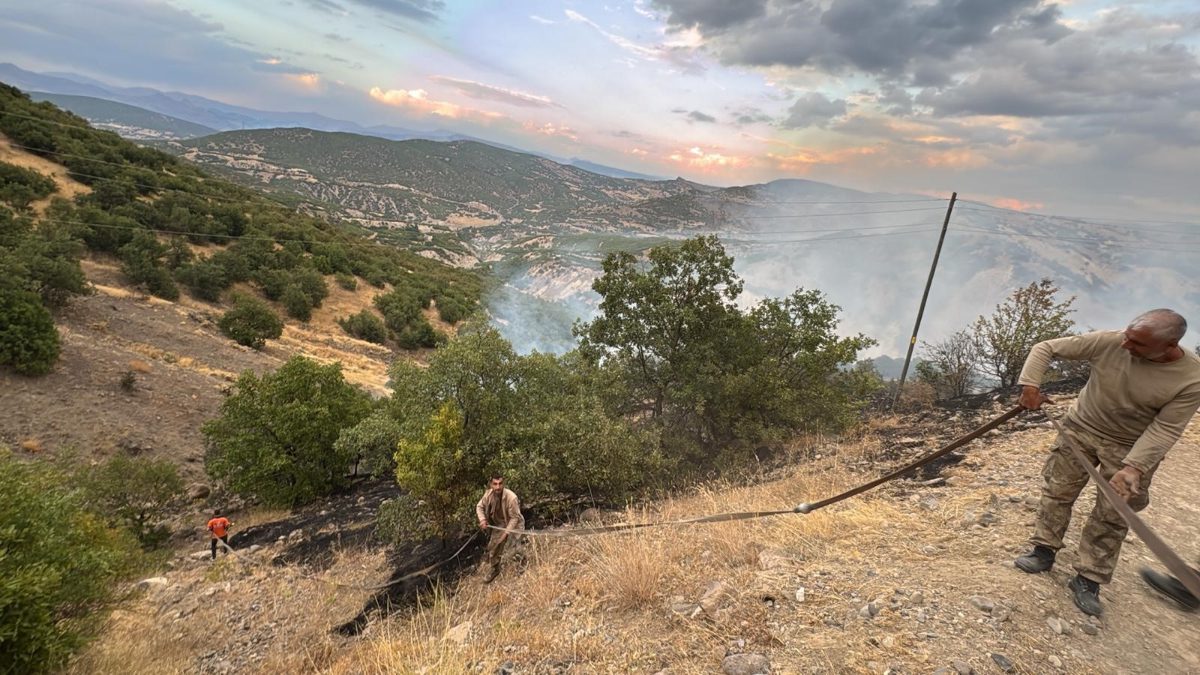 Bingöl’ün iki ilçesinde çıkan orman yangınlarının, ekiplerin havadan ve karadan