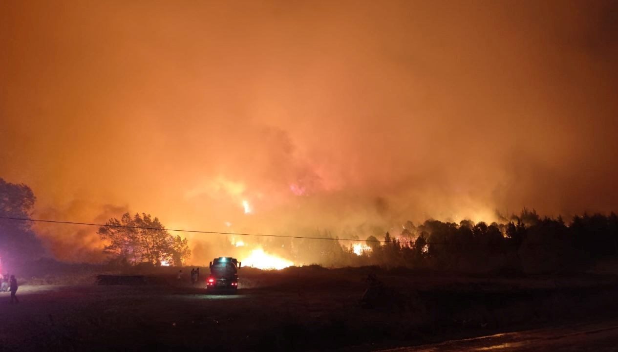 Bursa'nın Karacabey ilçesinde orman yangını çıktı. Ekiplerin rüzgarın etkisiyle büyüyen