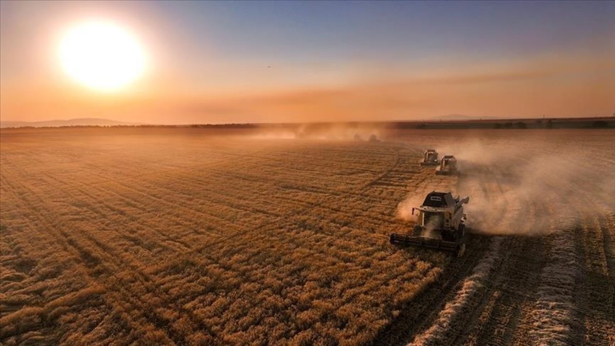 Tarım ve Orman Bakanı İbrahim Yumaklı, 274 milyon 805 bin