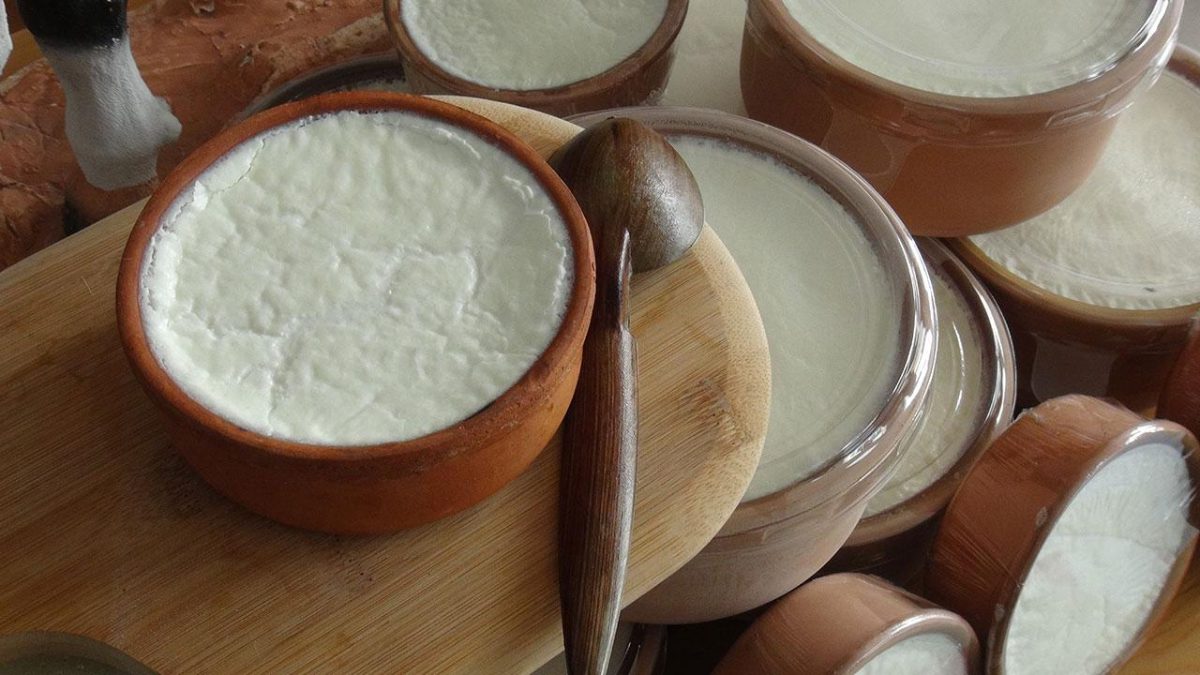 Yoğurt, probiyotik içeriğiyle sindirimi destekliyor, bağışıklığı güçlendiriyor, kemik ve diş