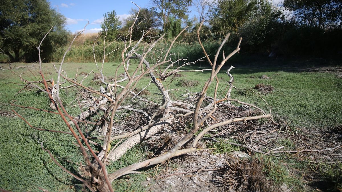 Edirne'de merkeze bağlı Musabeyli köyünde bulunan gölet, kuraklık ve sıcaklara