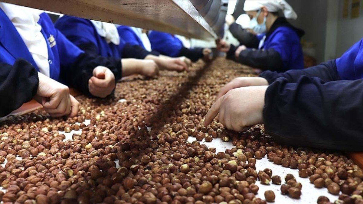 Ocak-ağustos döneminde Türkiye'den 175 bin ton, Trabzon'dan ise  51