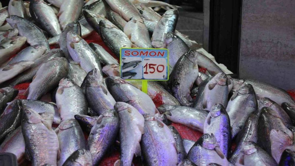 Karadeniz’in bereketli suları bu sezon balıkçı tezgahlarını doldurdu. Özellikle bol