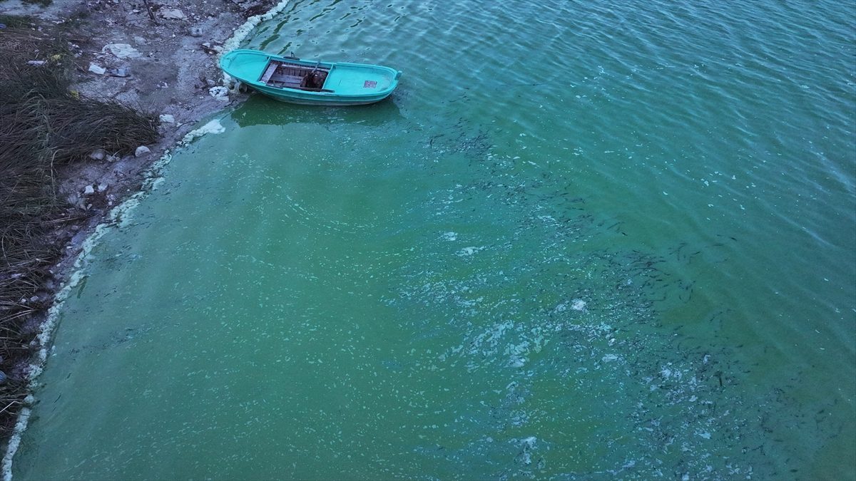 Terkos Barajı'nda suyun bazı bölümlerinin yeşile büründüğü görüntülendi.