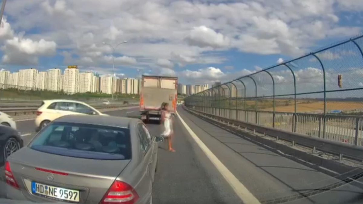 Avcılar'da viyadükteki tellerde mahsur kalan kediyi kurtarmak için aracından inen
