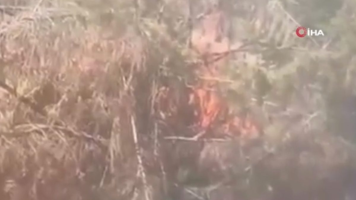 İstanbul'un Şişli ilçesinde, ağaçlık alanlarda yangın çıkardığı belirlenen şüpheli yakalandı.