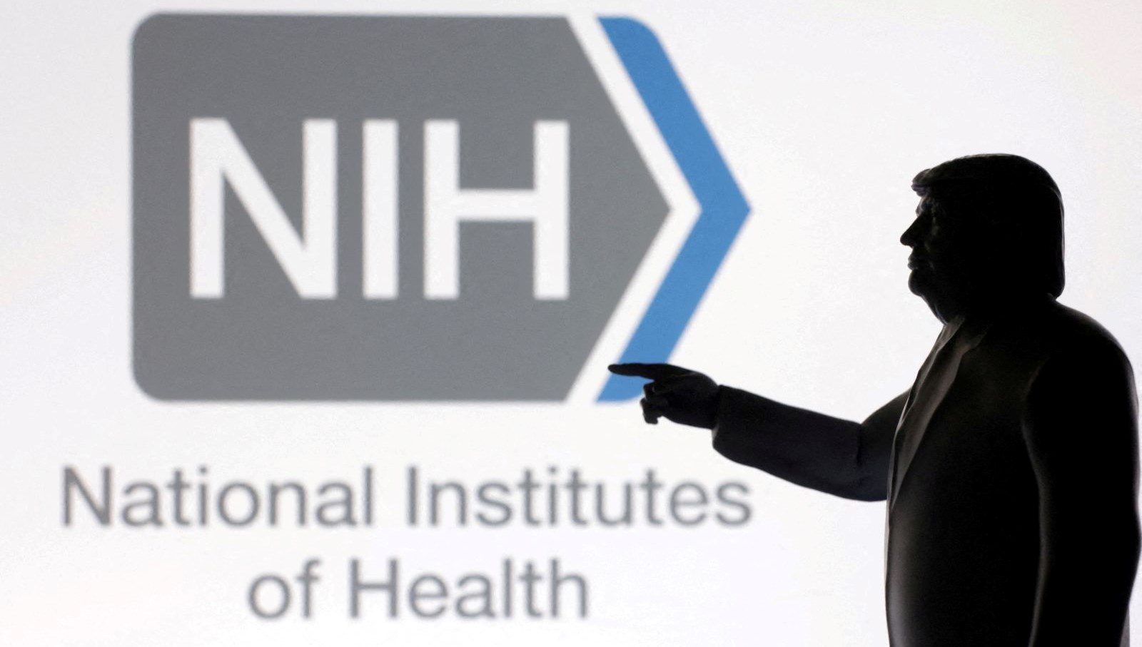 ABD'de Trump yönetiminin bilimsel araştırmalara yönelik fon kesintilerini telafi etmek