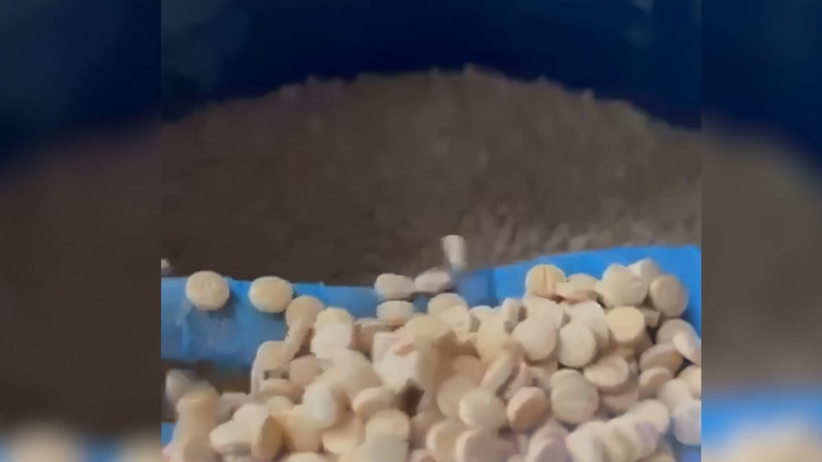 İçişleri Bakanı Ali Yerlikaya, Mersin'de, Akdeniz ve Tarsus ilçelerinde gerçekleştirilen