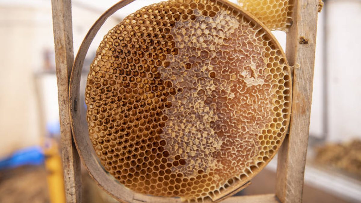 Tunceli’nin Ovacık ilçesinde 197 arıcı, 20 bin 189 kovandan elde