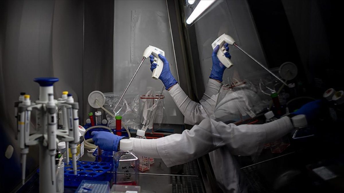 Kanser riskini azaltmak doğru beslenmeyle mümkün olabiliyor. Brokoli, domates, yeşil