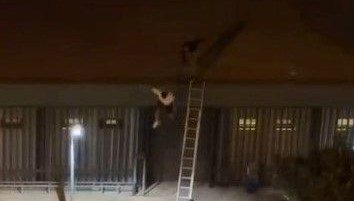 Mersin’in Mezitli ilçesinde ücretli düzenlenen konseri, binanın çatısına çıkarak izlemeye