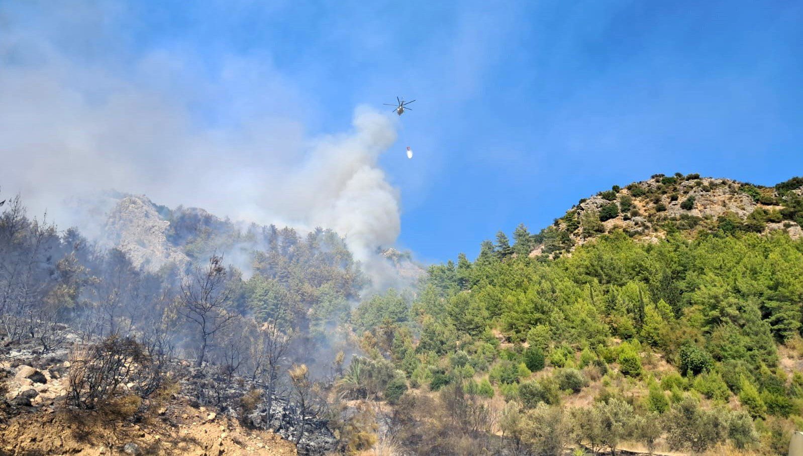 Antalya'nın Serik ilçesinde dört hektar ormanın zarar gördüğü yangını çıkardığı