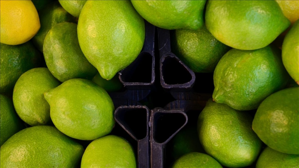 Ticaret Bakanlığı devreye girdi. Limon ve elma ihracatını izne bağladı.