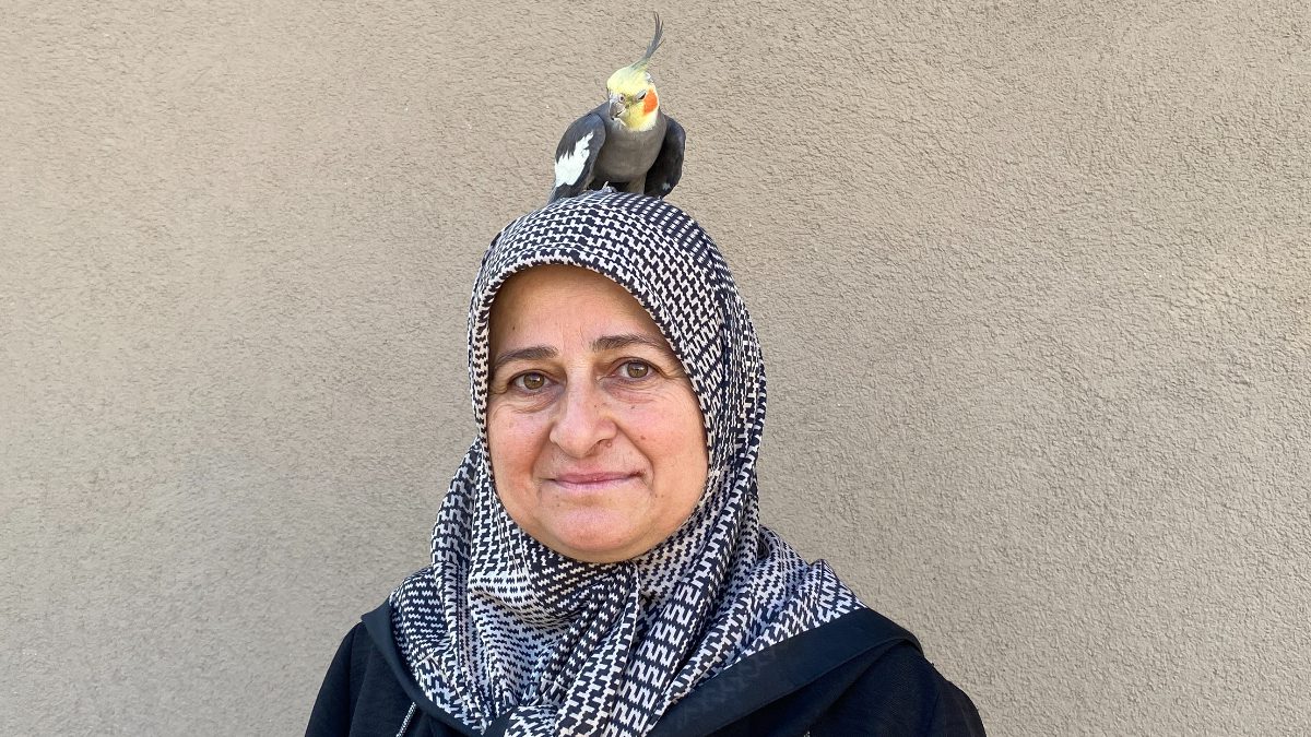 Zile ilçesinde yaşayan Aynur Babat, torunu için sahiplendiği papağanla özel