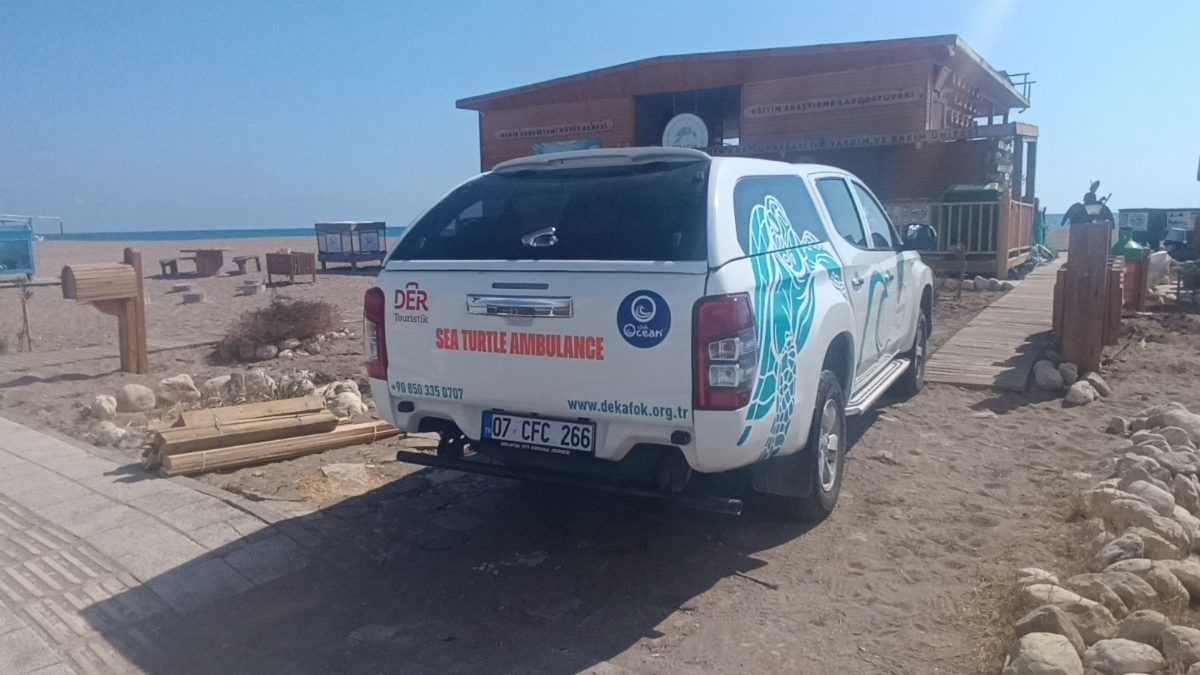 DEKAFOK’un deniz kaplumbağası ambulansı, Manavgat’tan Samandağ’a kadar kıyı hattında yaralı