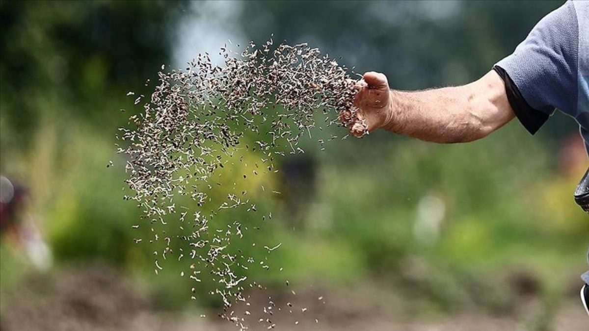 TÜRKTOB, tohumculuk sektöründeki gelişmeleri değerlendirerek Türkiye'nin bu konudaki gündemini aktardı.