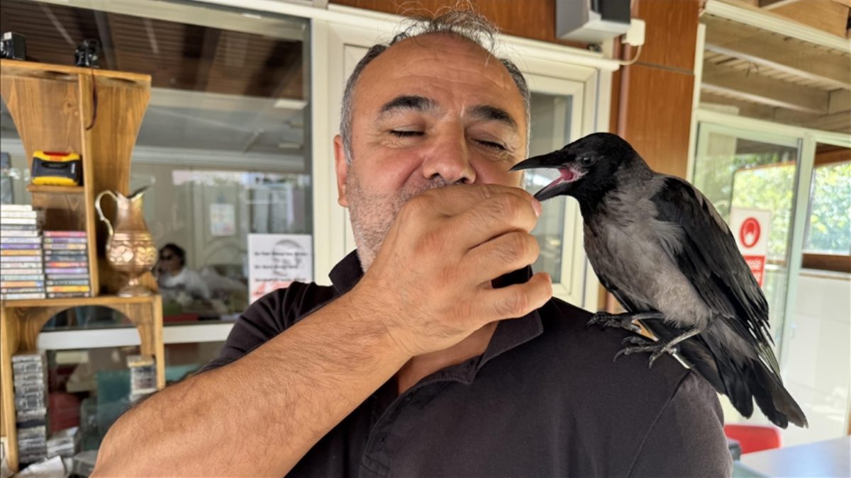 Çınarcık ilçesinde pansiyon işleten Salman Boyraz, işletmenin maskotu olan ve