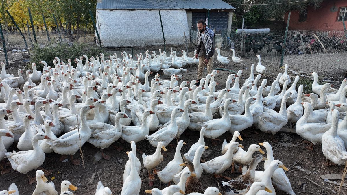 Kentte kanatlı hayvan yetiştiriciliği yapan Hüseyin Kösedağ, ıslık sesiyle çiftliğindeki