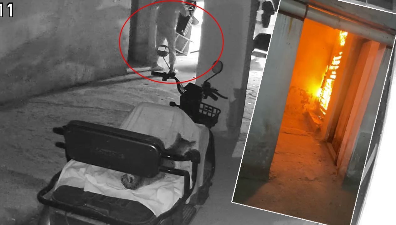 Bursa'da, ailesi istemediği için pitbull cinsi köpeğiyle birlikte apartmanın bodrum